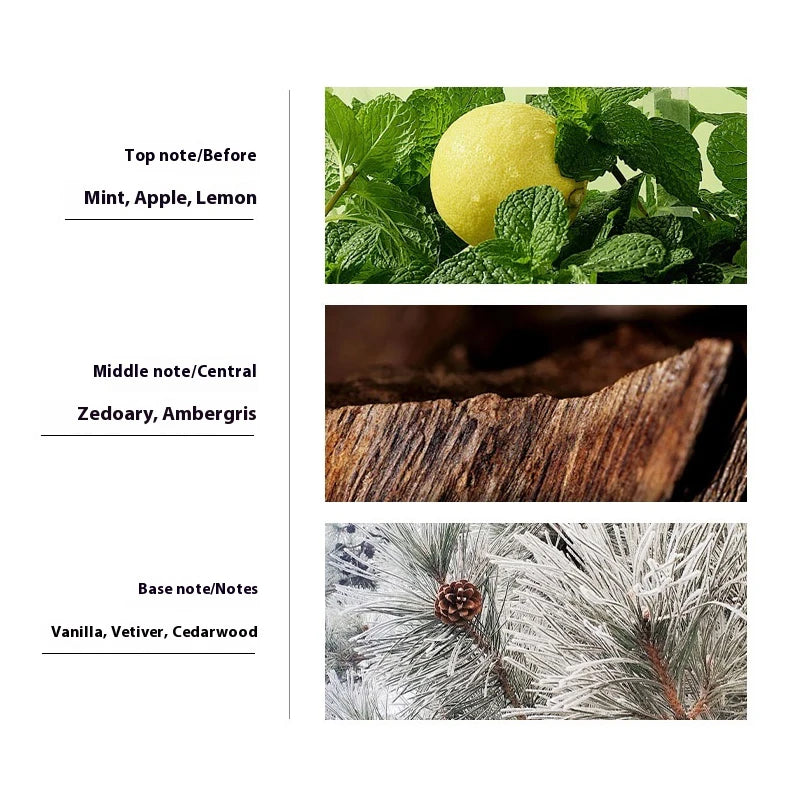 JEAN MISS Perfume For Men Original Luxury Fougere Woody Eau De Parfum Man Gift Spray Makeup