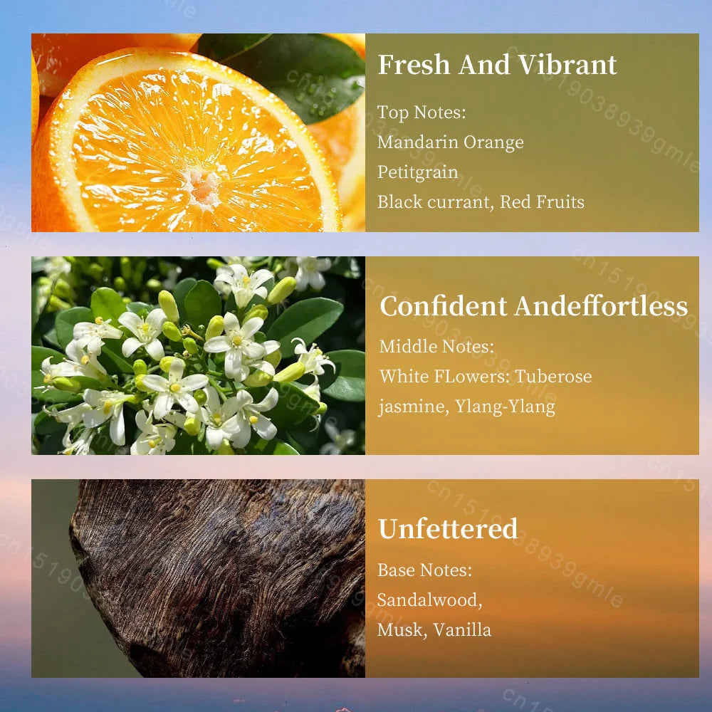 Women Perfume Original Brand Eau De Parfum Long Lasting Classic Mature Woman Perfumes Natural Floral Fragrance Body Spray